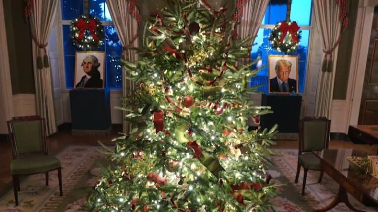 white-house-reveals-festive-2025-christmas-decorations