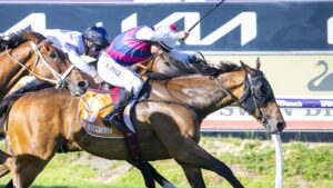 Rey Magnerio wins the 2025 The Gold Rush for jockey William Pike