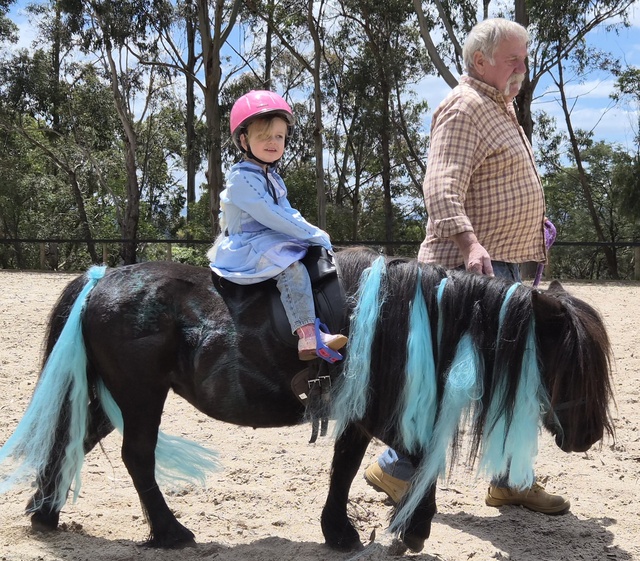 young-riders-surge-to-victory-in-daring-equestrian-challenges