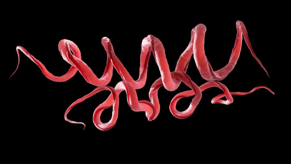 ancient-dna-unveils-syphilis-origins-stretching-back-5-500-years