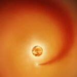 astronomers-confirm-betelgeuse-s-companion-star-after-eight-year-study