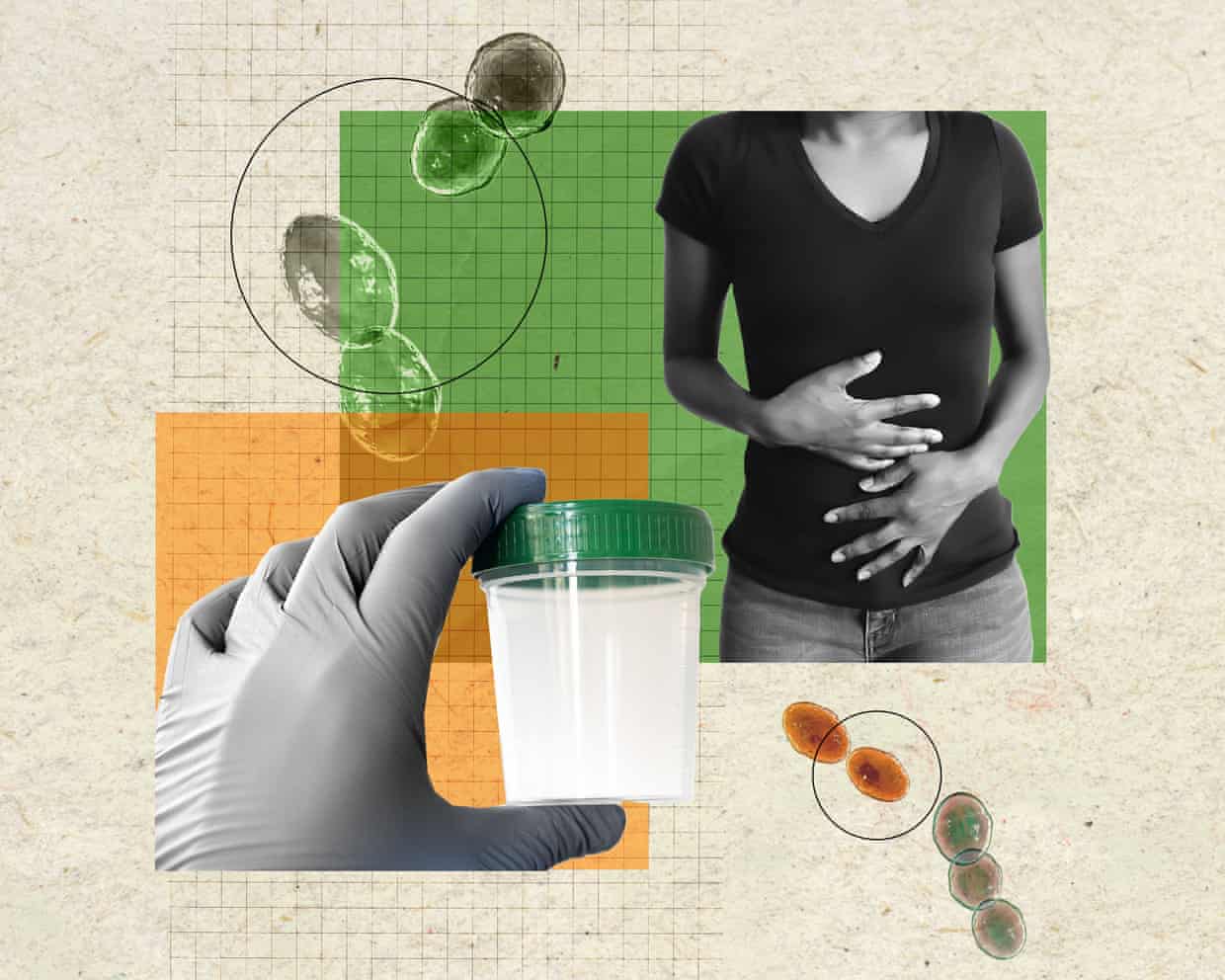 at-home-microbiome-tests-health-insight-or-misleading-hype-