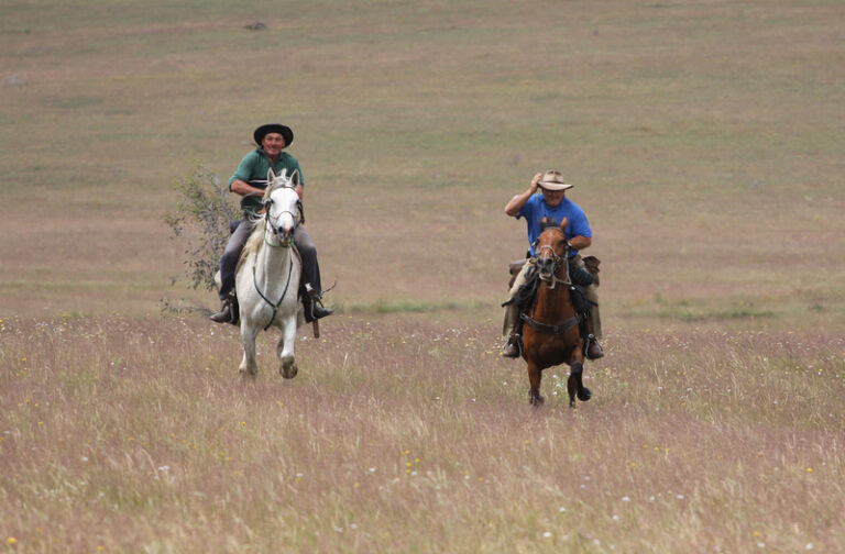 australia-day-quiz-2026-test-your-knowledge-now-