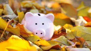 australian-bank-stocks-plunge-experts-warn-of-bearish-outlook