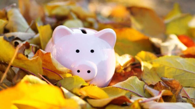 australian-bank-stocks-plunge-experts-warn-of-bearish-outlook