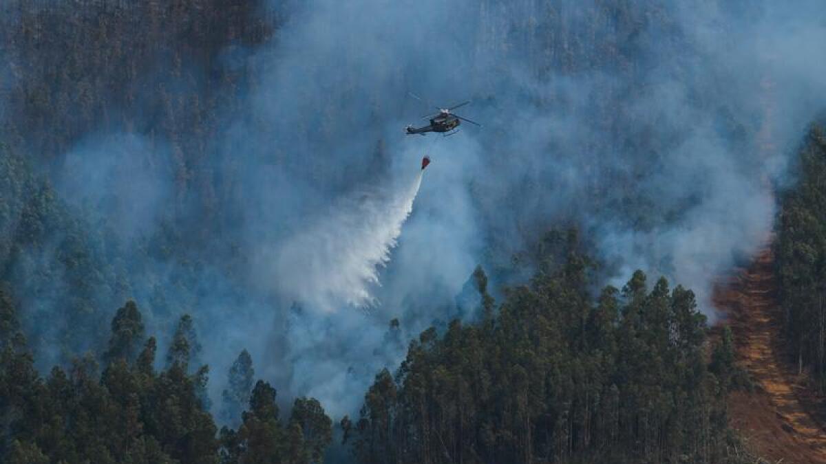 chile-s-wildfires-claim-19-lives-as-fires-rage-across-regions