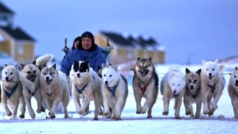 dalaroo-metals-accelerates-exploration-at-greenland-s-blue-lagoon