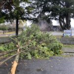 ferntree-gully-declared-top-severe-weather-hotspot-in-victoria