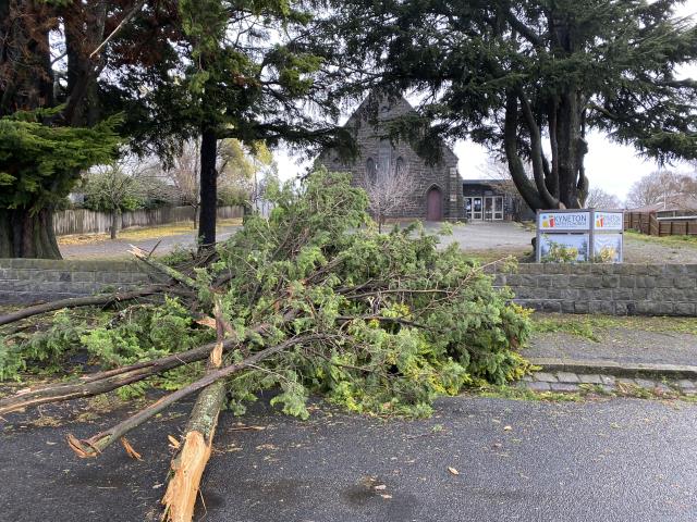 ferntree-gully-declared-top-severe-weather-hotspot-in-victoria