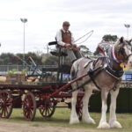 heavy-horsepower-rides-back-to-werribee-park-this-january