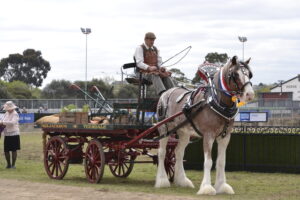 heavy-horsepower-rides-back-to-werribee-park-this-january