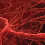 hkust-reappoints-dr-andrew-liao-as-court-chairman-for-three-years-1