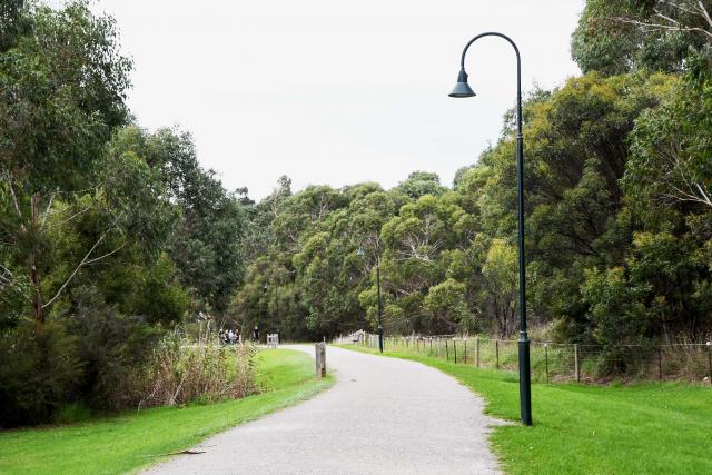 join-yarra-ranges-council-s-wellness-walks-this-summer