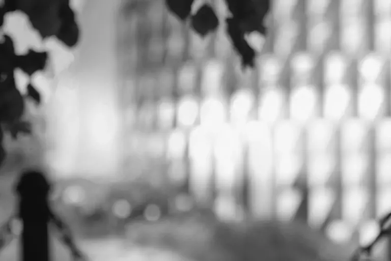 karolinska-institutet-mourns-the-loss-of-professor-anita-aperia