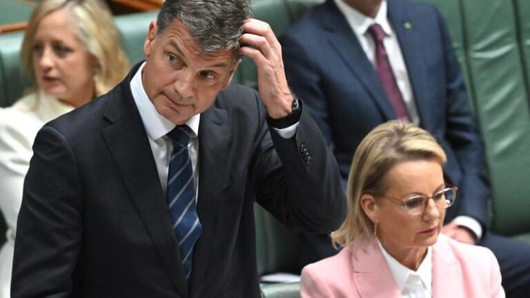 liberal-party-leadership-tensions-rise-as-challenges-loom-for-ley