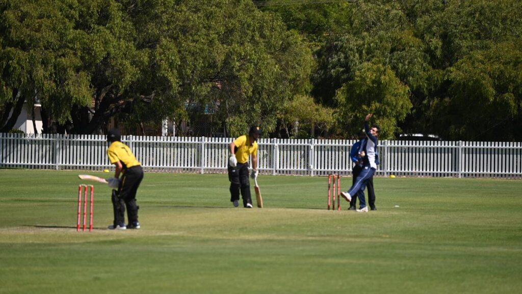 Lincoln Joy faces Victorian Bolwer