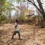 local-dialects-enhance-human-honeyguide-communication-in-mozambique