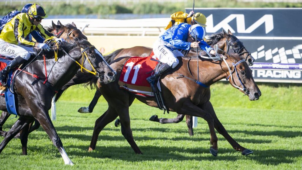 Madhi Girl wins the 2026 Summer Scorcher for jockey William Pike