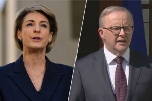 michaelia-cash-critiques-albanese-s-royal-commission-decision