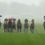 mill-reef-champion-words-of-truth-set-for-al-wasl-stakes-challenge