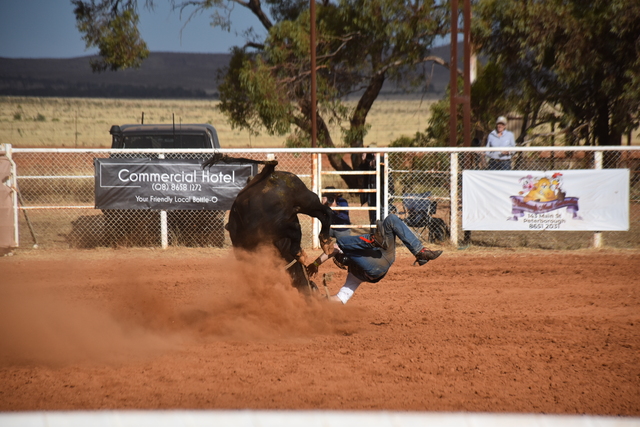 peterborough-rodeo-thrills-crowds-with-stunning-performances