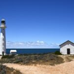 recent-testing-shows-decrease-in-karenia-cells-in-whyalla