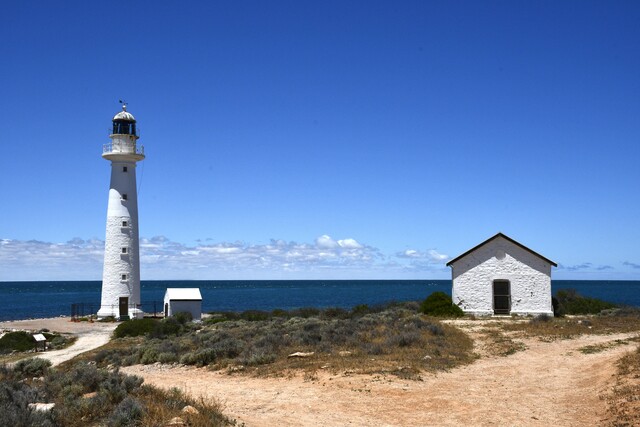 recent-testing-shows-decrease-in-karenia-cells-in-whyalla