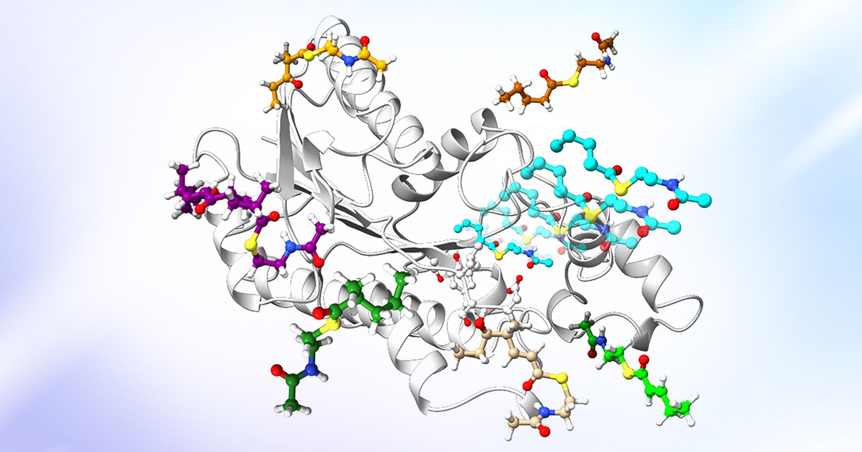 regional-cancer-patients-find-comfort-in-perth-accommodation-lodges