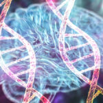 researchers-uncover-gene-switches-linked-to-alzheimer-s-disease