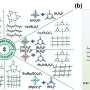 researchers-unveil-advanced-fluoroborate-crystals-for-duv-lasers
