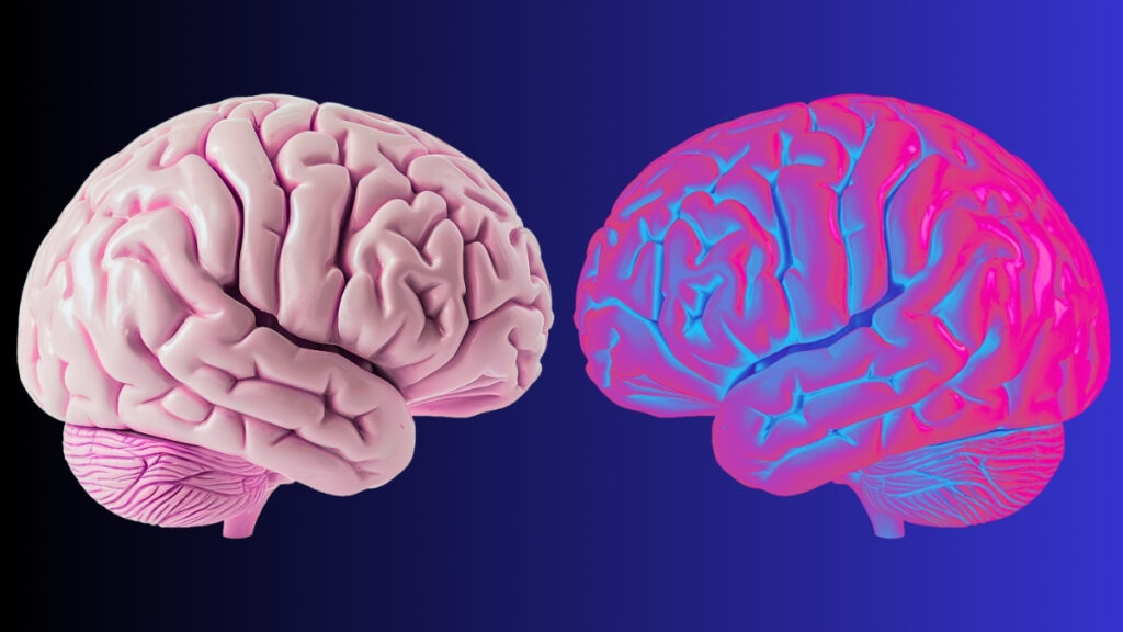 scientists-discover-brain-waves-that-define-body-ownership