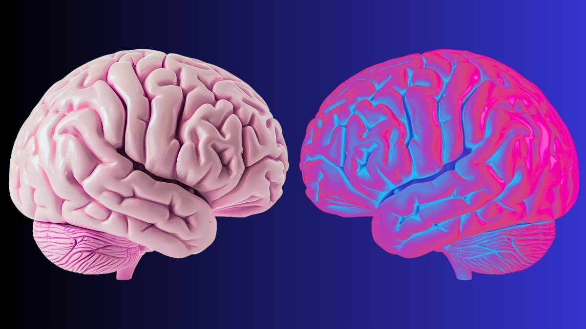 scientists-discover-brain-waves-that-define-body-ownership