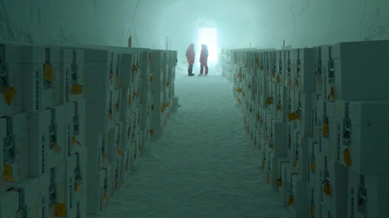 scientists-seal-ancient-ice-cores-in-antarctica-s-first-sanctuary