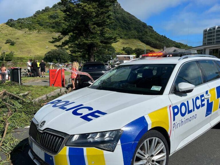search-for-missing-in-new-zealand-landslide-continues-amidst-adverse-weather
