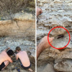 shocking-discovery-at-bells-beach-modern-beer-bottle-found-deep-in-rock