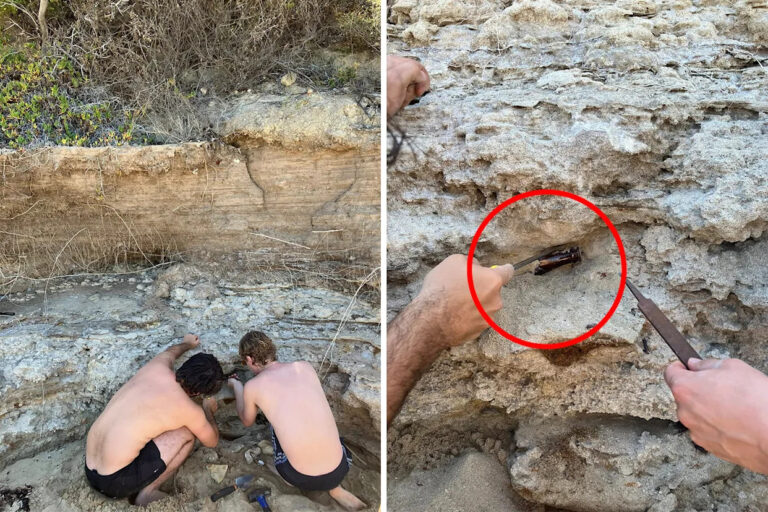 shocking-discovery-at-bells-beach-modern-beer-bottle-found-deep-in-rock
