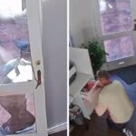 sooshi-mango-demands-stricter-crime-laws-after-office-break-in