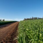 strong-demand-fuels-record-property-sales-across-wa-in-2025