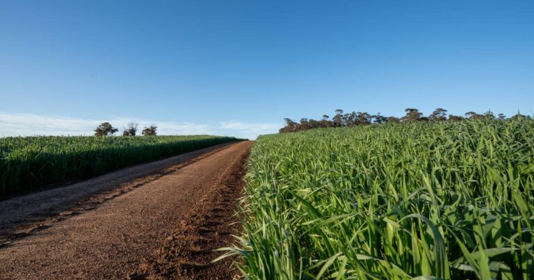 strong-demand-fuels-record-property-sales-across-wa-in-2025