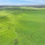 strong-winter-crop-boosts-confidence-in-australian-rural-property-market