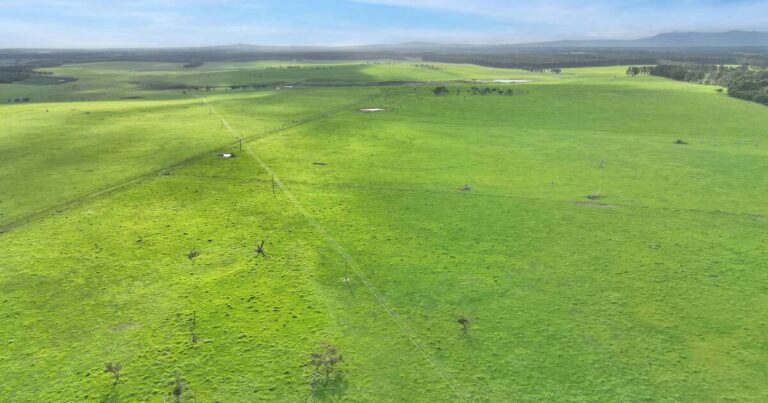 strong-winter-crop-boosts-confidence-in-australian-rural-property-market