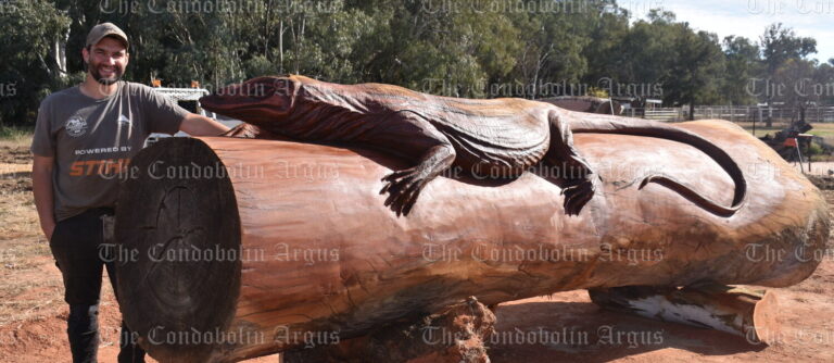 stunning-redgum-goanna-carving-unveiled-in-condobolin