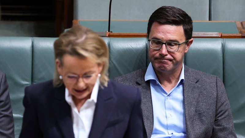 sussan-ley-faces-coalition-turmoil-after-resigning-senators
