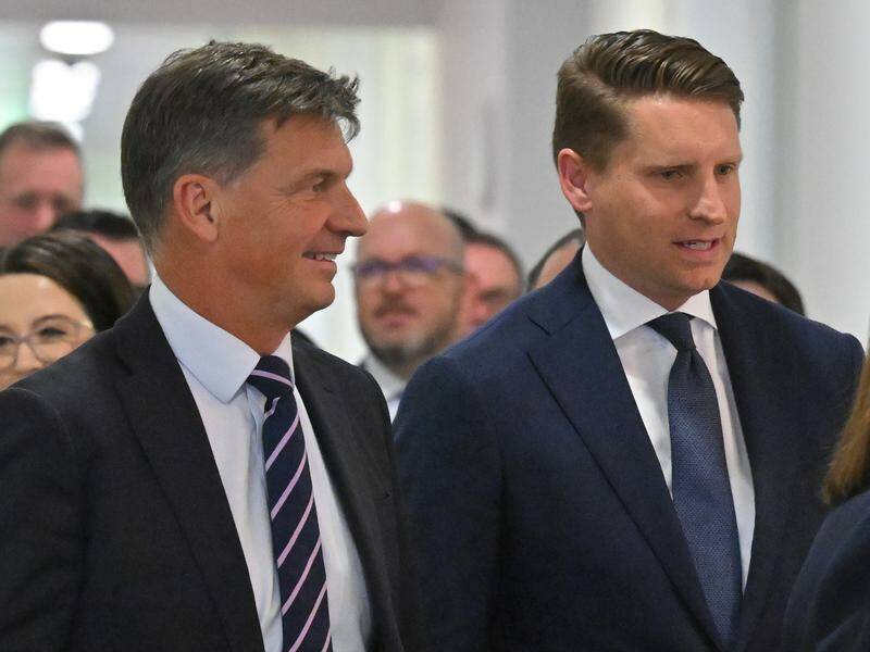 sussan-ley-holds-leadership-amid-liberal-party-turmoil