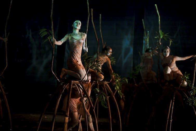 sydney-festival-2026-dance-showcases-cultural-diversity-and-innovation