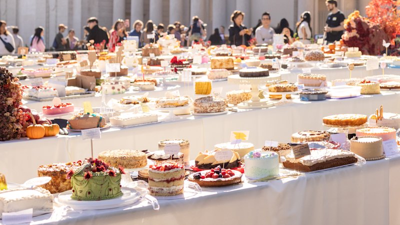 sydney-gears-up-for-cake-picnic-featuring-500-unique-cakes