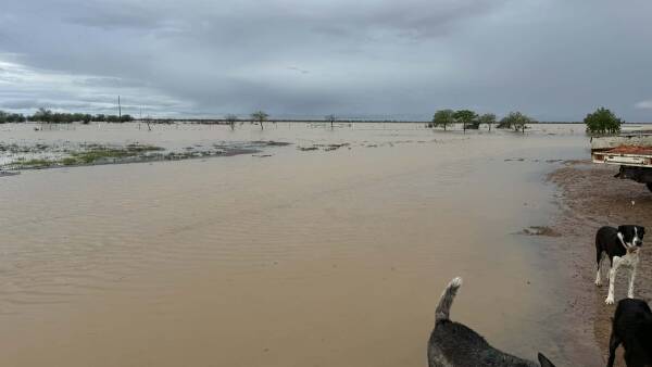 urgent-2-million-flood-relief-package-announced-for-queensland-graziers