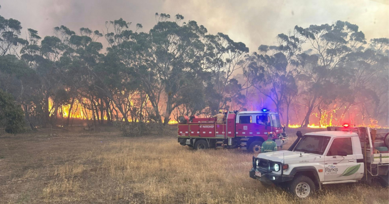 urgent-cfa-issues-severe-bushfire-warning-for-otways-today