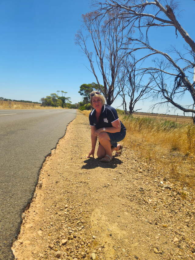 urgent-concerns-raised-over-narungga-road-funding-disparity