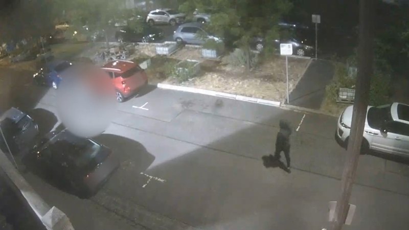 urgent-police-pursue-shooter-after-teen-killed-in-fitzroy